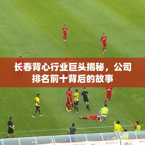 长春背心行业巨头揭秘，公司排名前十背后的故事