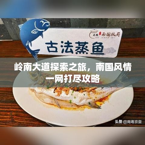 岭南大道探索之旅，南国风情一网打尽攻略