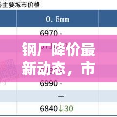 钢厂降价最新动态，市场反应热烈与未来趋势展望