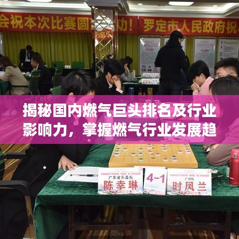 揭秘国内燃气巨头排名及行业影响力，掌握燃气行业发展趋势！