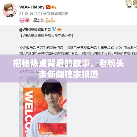 揭秘热点背后的故事，老粉头条新闻独家报道