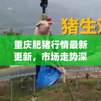 2025年5月 第54页