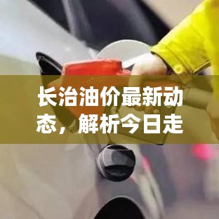长治油价最新动态，解析今日走势，为您的决策提供关键参考