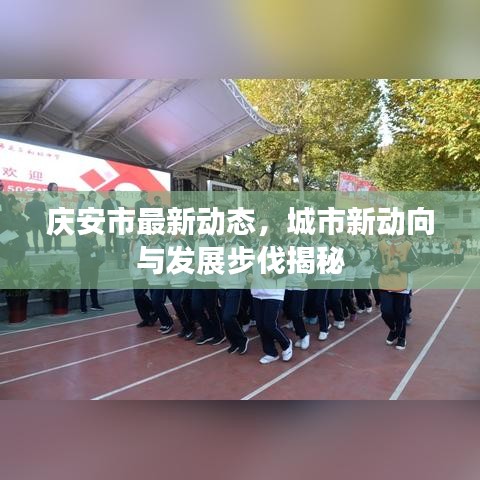 庆安市最新动态，城市新动向与发展步伐揭秘
