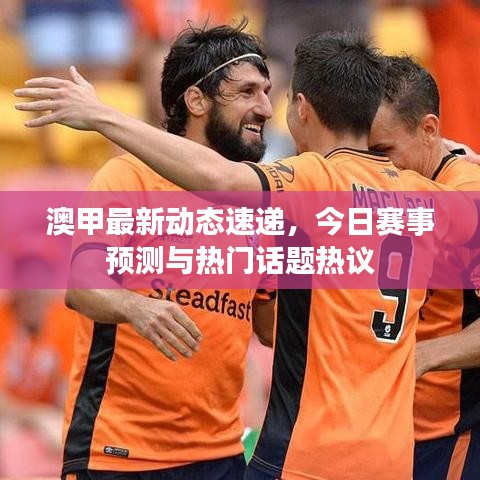 澳甲最新动态速递，今日赛事预测与热门话题热议