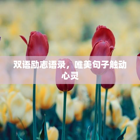 双语励志语录，唯美句子触动心灵