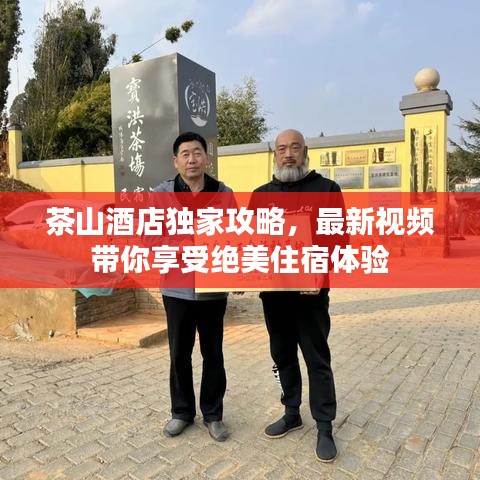茶山酒店独家攻略，最新视频带你享受绝美住宿体验