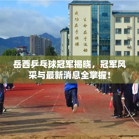 岳西乒乓球冠军揭晓，冠军风采与最新消息全掌握！