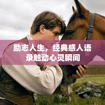 励志人生，经典感人语录触动心灵瞬间