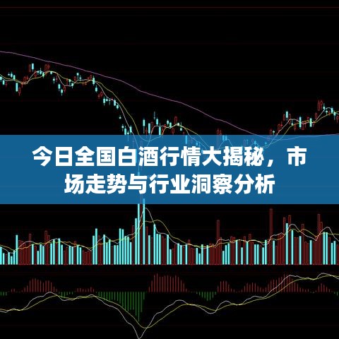 今日全国白酒行情大揭秘，市场走势与行业洞察分析