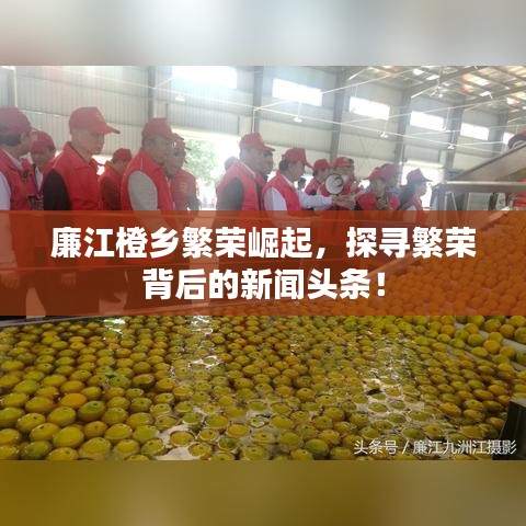 廉江橙乡繁荣崛起，探寻繁荣背后的新闻头条！