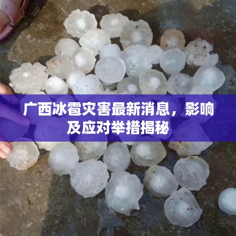 广西冰雹灾害最新消息，影响及应对举措揭秘