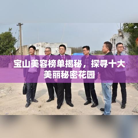 2025年5月 第66页
