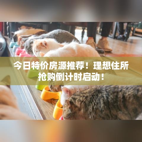 今日特价房源推荐！理想住所抢购倒计时启动！