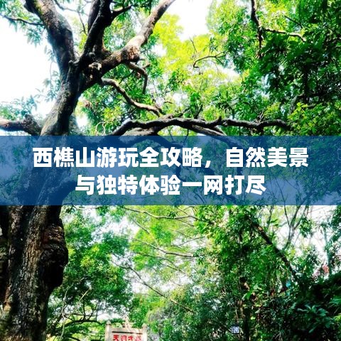 西樵山游玩全攻略，自然美景与独特体验一网打尽