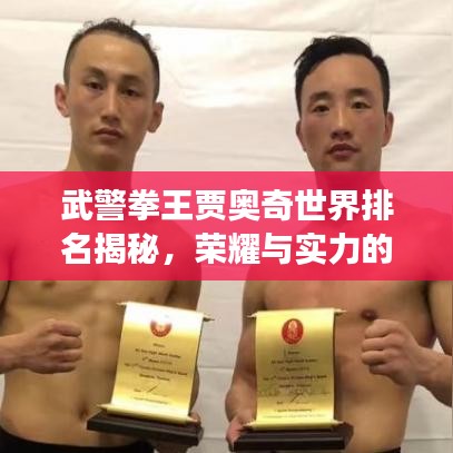 武警拳王贾奥奇世界排名揭秘，荣耀与实力的巅峰见证