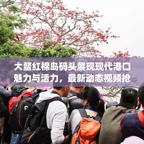 大鳌红棉岛码头展现现代港口魅力与活力，最新动态视频抢先看