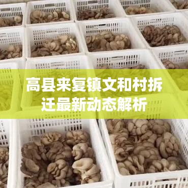 高县来复镇文和村拆迁最新动态解析