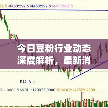 今日豆粉行业动态深度解析，最新消息与行业趋势展望