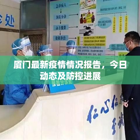 厦门最新疫情情况报告，今日动态及防控进展