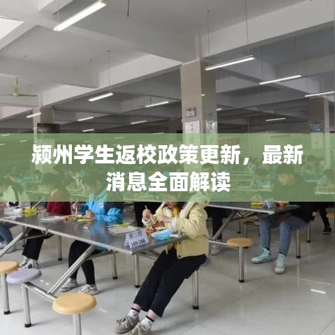 颍州学生返校政策更新，最新消息全面解读