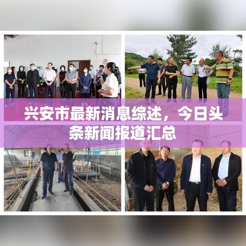 兴安市最新消息综述，今日头条新闻报道汇总