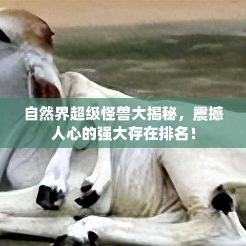 自然界超级怪兽大揭秘，震撼人心的强大存在排名！