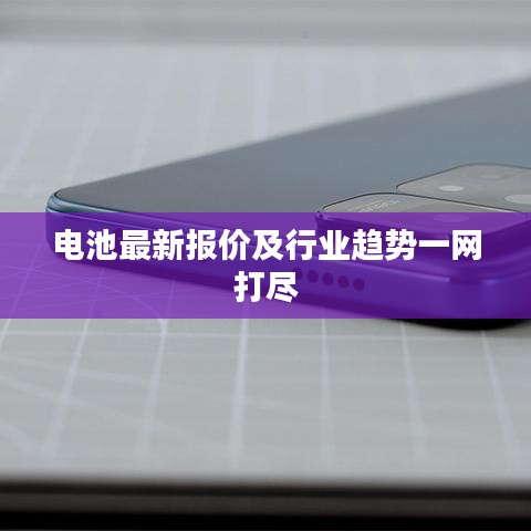 电池最新报价及行业趋势一网打尽