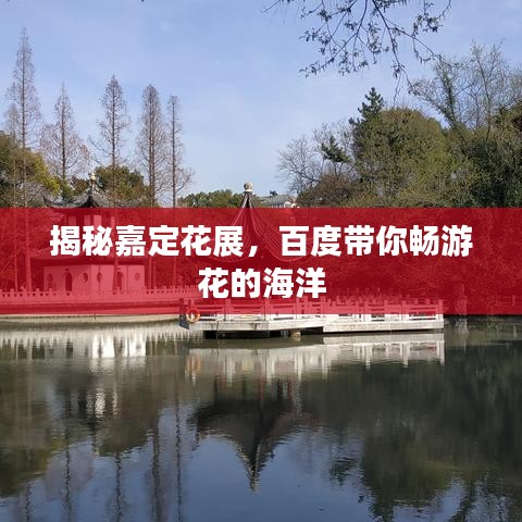 揭秘嘉定花展，百度带你畅游花的海洋