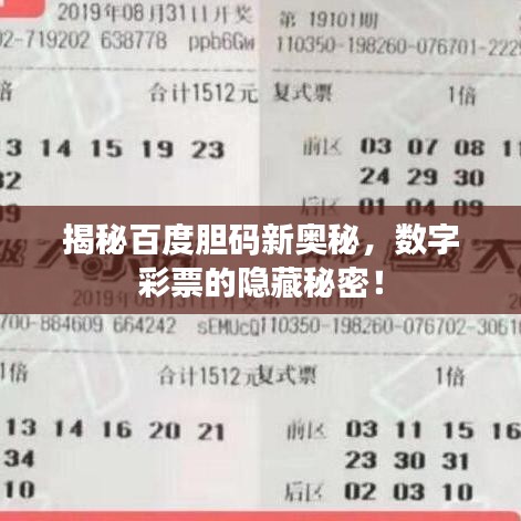 揭秘百度胆码新奥秘，数字彩票的隐藏秘密！