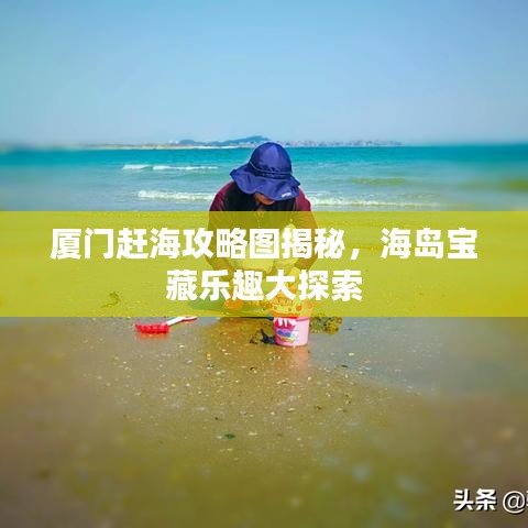 厦门赶海攻略图揭秘，海岛宝藏乐趣大探索