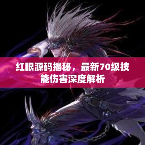 红眼源码揭秘，最新70级技能伤害深度解析