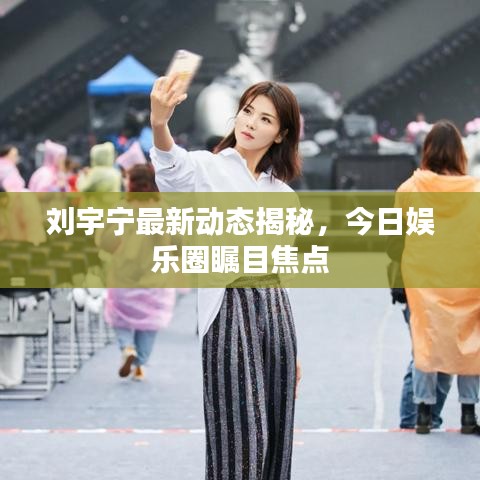 刘宇宁最新动态揭秘，今日娱乐圈瞩目焦点