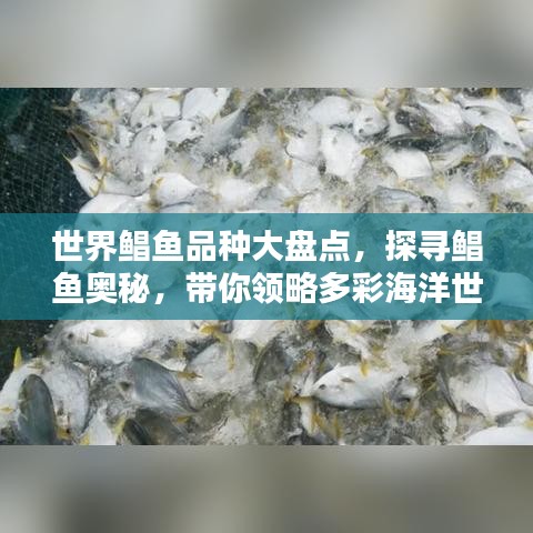 世界鲳鱼品种大盘点，探寻鲳鱼奥秘，带你领略多彩海洋世界！