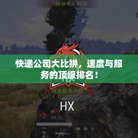 快递公司大比拼，速度与服务的顶级排名！