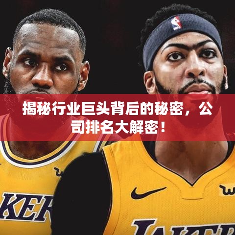 揭秘行业巨头背后的秘密，公司排名大解密！