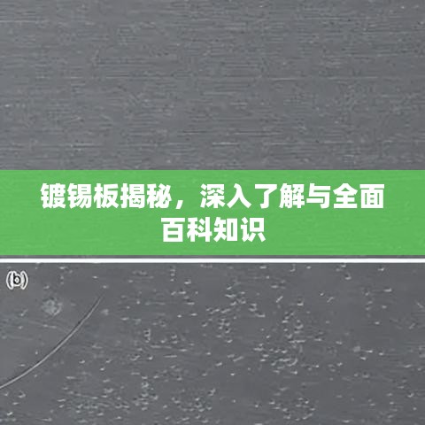 镀锡板揭秘，深入了解与全面百科知识