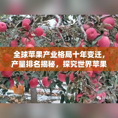 全球苹果产业格局十年变迁，产量排名揭秘，探究世界苹果产业趋势