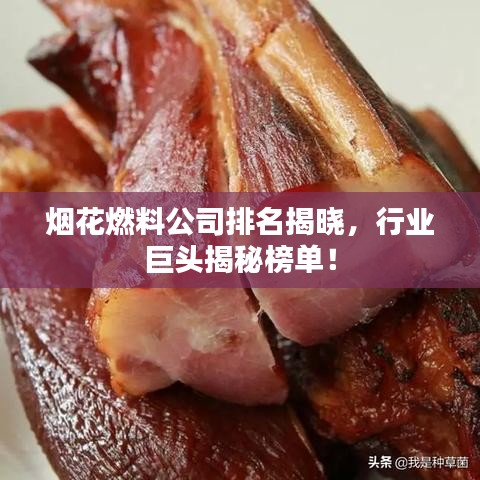 烟花燃料公司排名揭晓，行业巨头揭秘榜单！