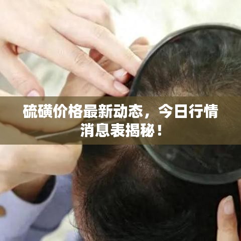 硫磺价格最新动态，今日行情消息表揭秘！