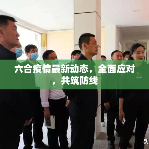 六合疫情最新动态，全面应对，共筑防线