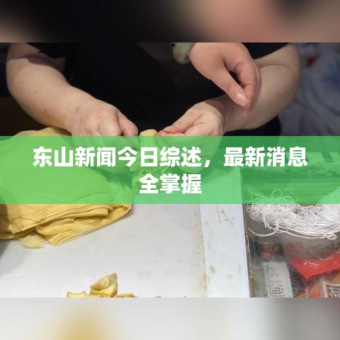 东山新闻今日综述，最新消息全掌握