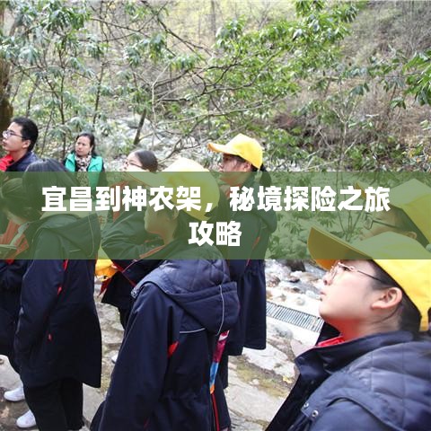 宜昌到神农架，秘境探险之旅攻略