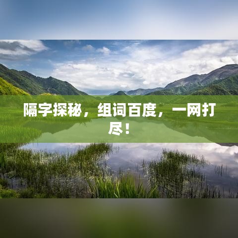隔字探秘，组词百度，一网打尽！