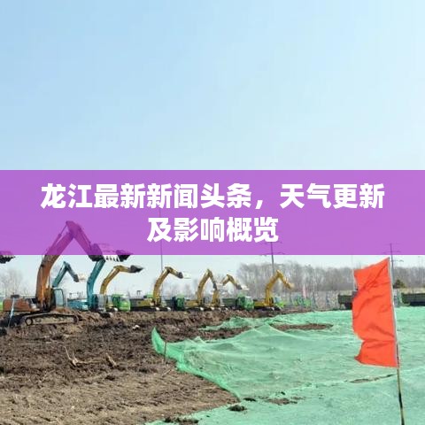 龙江最新新闻头条，天气更新及影响概览
