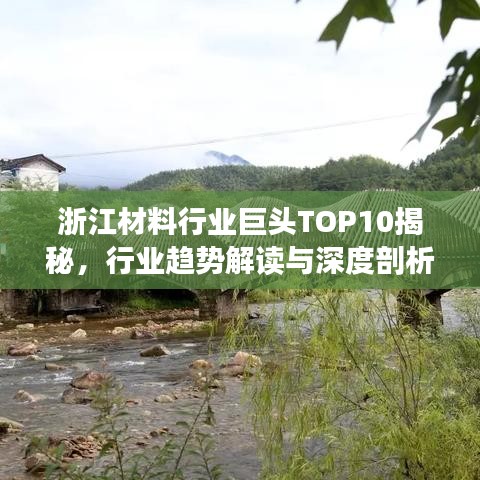 浙江材料行业巨头TOP10揭秘，行业趋势解读与深度剖析