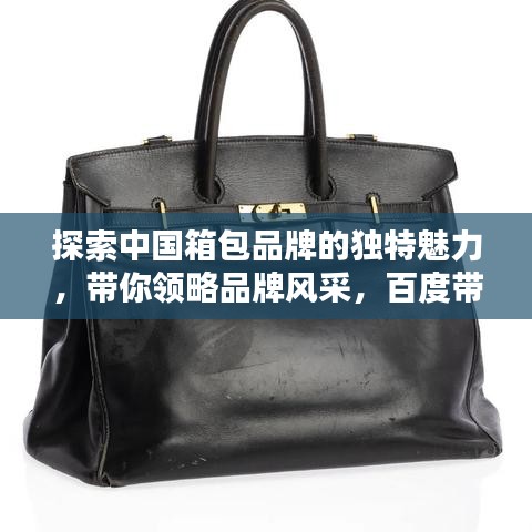 探索中国箱包品牌的独特魅力，带你领略品牌风采，百度带你一网打尽！