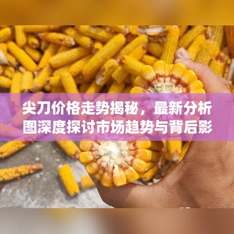 尖刀价格走势揭秘，最新分析图深度探讨市场趋势与背后影响因素