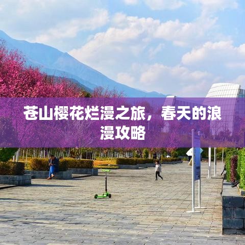 苍山樱花烂漫之旅，春天的浪漫攻略
