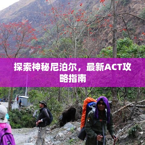 探索神秘尼泊尔，最新ACT攻略指南